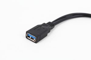 ออโตโฟกัสแบบ USB 3.0 ไมโคร USB3.0 BM กับ USB 2.0 สาย Y