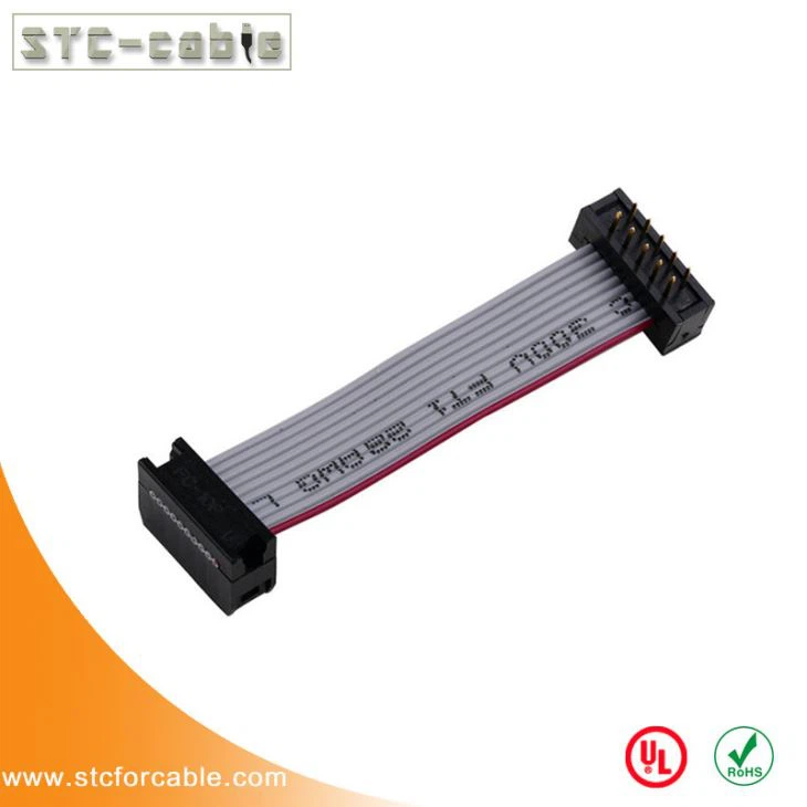 2.54 mm.สนาม 2x5Pin 10Pin 10 สาย IDC แบนสาย M/F